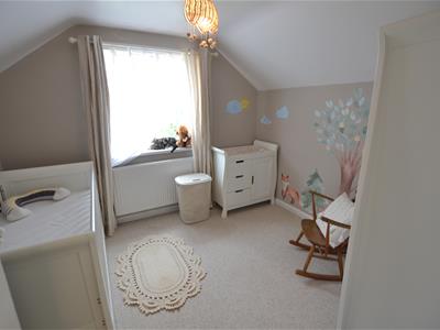 Picture 14